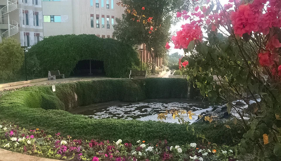 هتل فلامینگو کیش